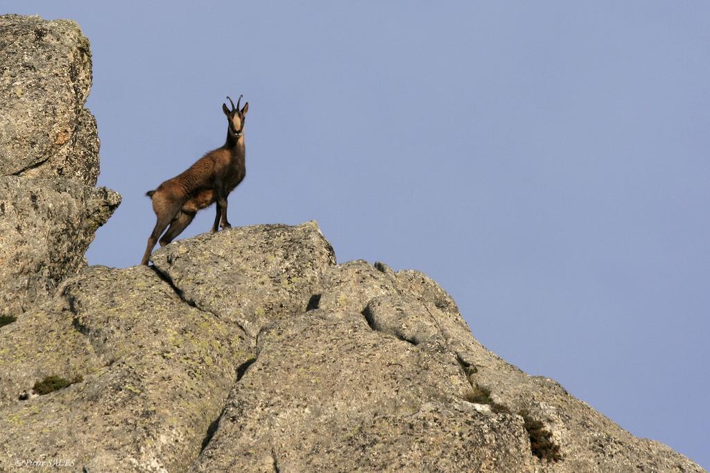 Vvf Pyrenees Canigou Prats-de-Mollo-la-Preste Eksteriør bilde